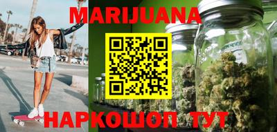 сатива Можга
