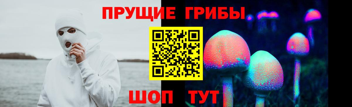 Псилоцибиновые грибы прущие грибы  Вход с VPN  Псилоцибиновые грибы прущие грибы  Дальнереченск 